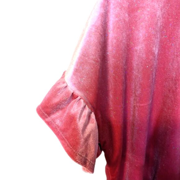 NWT Old Navy Shimmer Holiday Ruffle Sleeve Velour Top Size XL - Picture 5 of 5